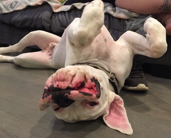 Maximum Comfort Level: Achieved.