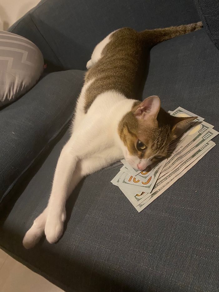 “Money Doesn’t Buy Happiness And Does Not Make A Good Pillow Either!”