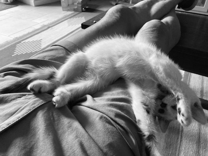 This Is Tommy, She Is With Us One Week Now...