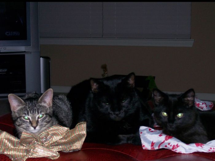 The Big Man With His Two New Charges