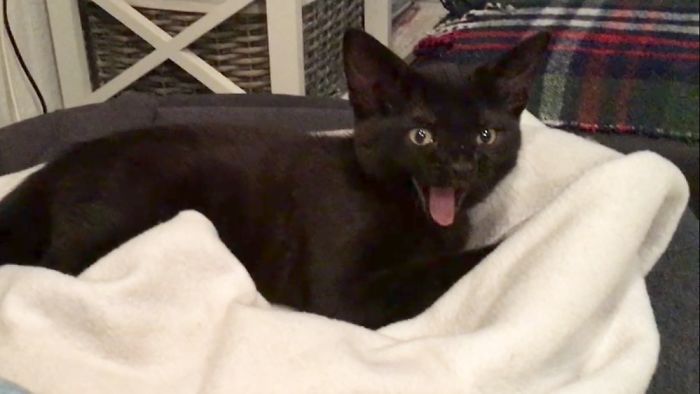 Baby Kimchi, My First Little Girl