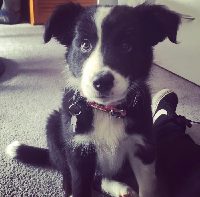 Love Her Little Ears!