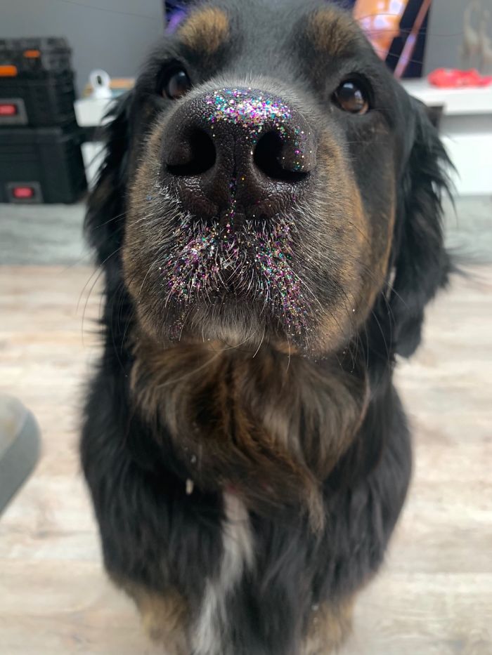She Got Into The Glitter!