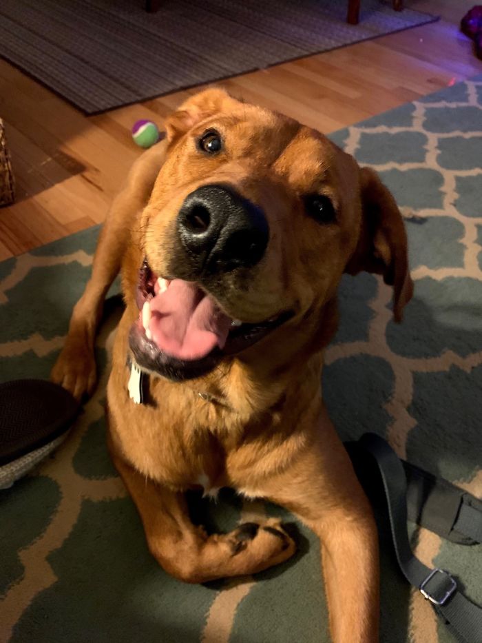 Wally Has The Biggest Smile!!!