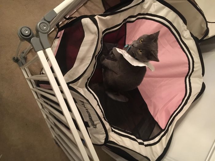 She Was Separated From Her Sister And Escaped To See Her