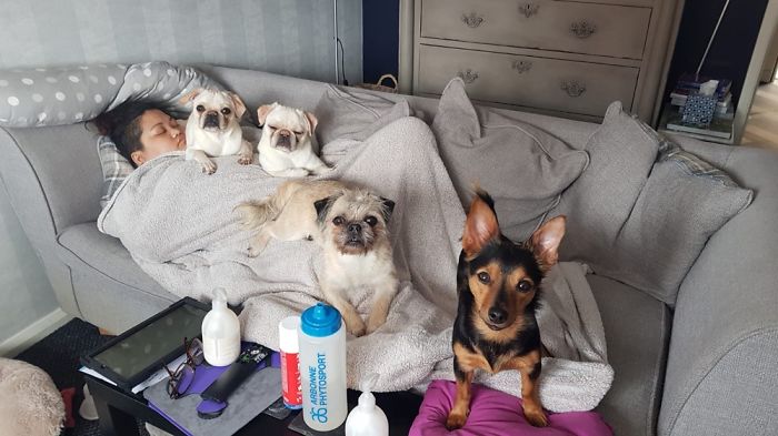 Hugo, Tobey, Nola & Freddy Looking After Their Mumma Gee. Scrumptious Beans.