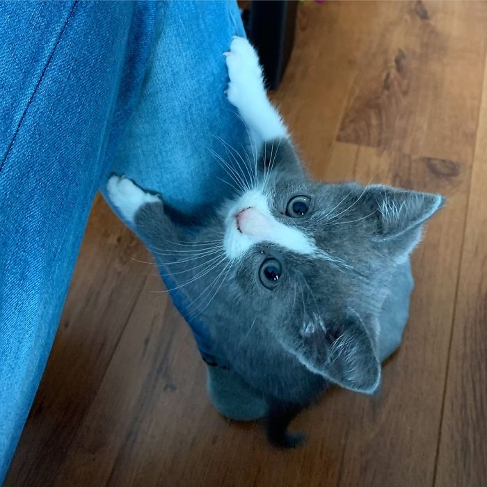 Hello Can I Come Up ?!