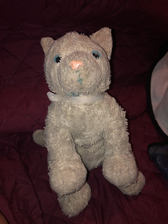 Grizzle,(Given When I Was Like 4) Has Had Multiple “Surgeries”