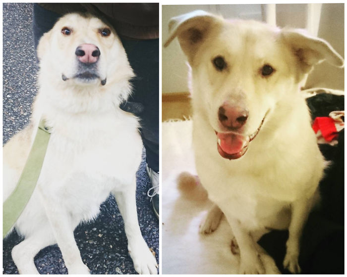 When She First Saw Me vs. When She Settled In