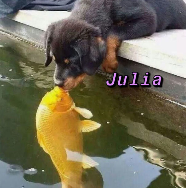 Instagram-Meme-Dog-Photos-Based-On-Names-Whatdogyouare