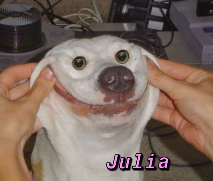 You Can Now Find Out What Dog You Are Based On Your Name (40 Pics)