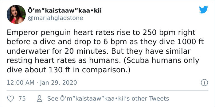 Interesting-Facts-Learned-From-Twitter