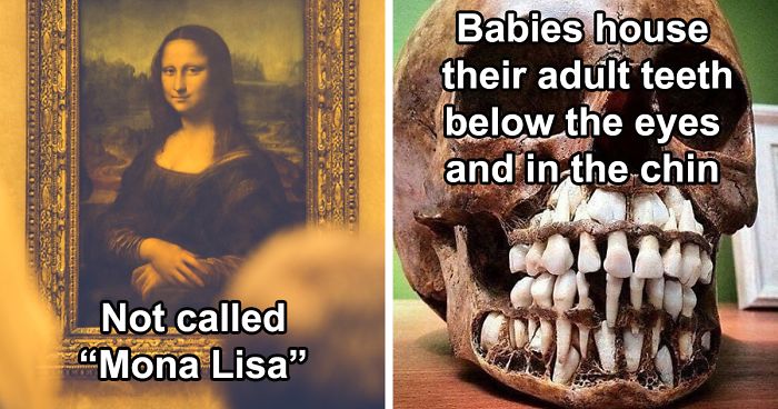 30 Random Things Twitter Told Us That We Should Have Learned In School