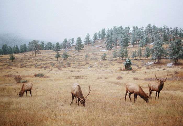 I Traveled Across 18 States Of The USA In 8 Weeks, Here Are My 34 Best Shots