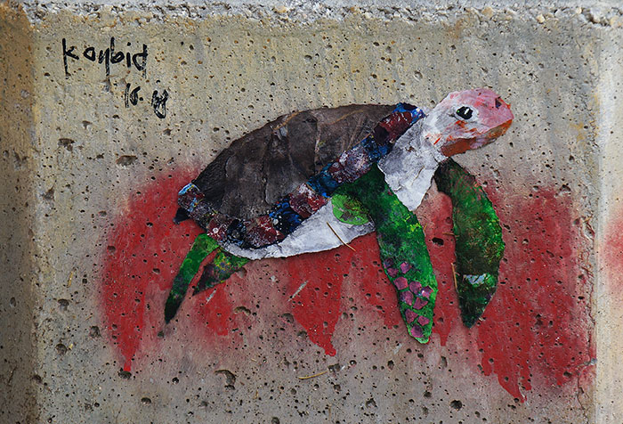 My Wildlife Collage Animation Project ‘Kaybid’ (24 Pics)