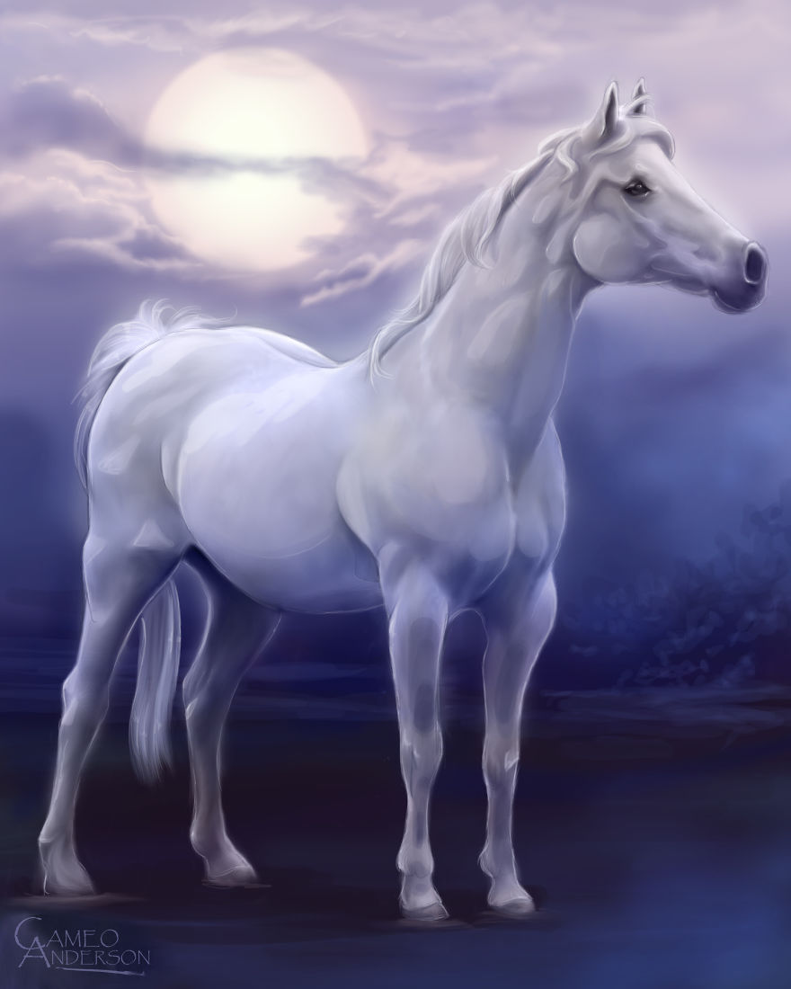 This Horse Used To Sneak Out At Night And He'd Let His Favorite Friend—the Goat—out Of His Enclosure To Go Make Trouble At Night