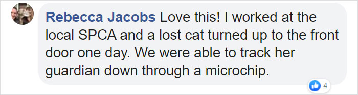 Lost Dog Goes To His Vet To Ask For Help Getting Back Home