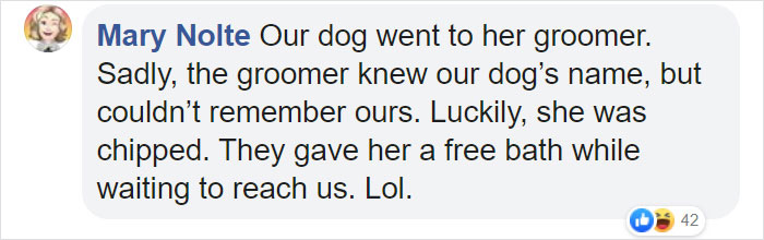 Lost Dog Goes To His Vet To Ask For Help Getting Back Home