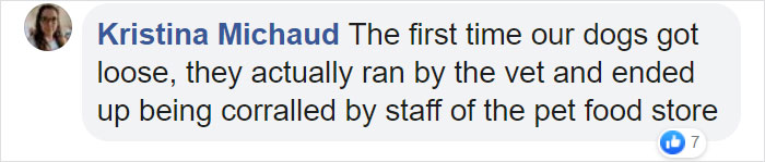 Lost Dog Goes To His Vet To Ask For Help Getting Back Home