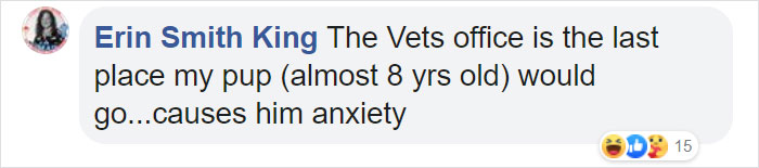 Lost Dog Goes To His Vet To Ask For Help Getting Back Home