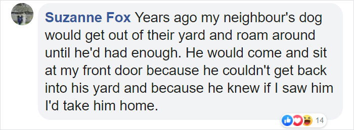 Lost Dog Goes To His Vet To Ask For Help Getting Back Home