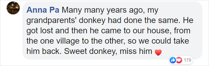 Lost Dog Goes To His Vet To Ask For Help Getting Back Home
