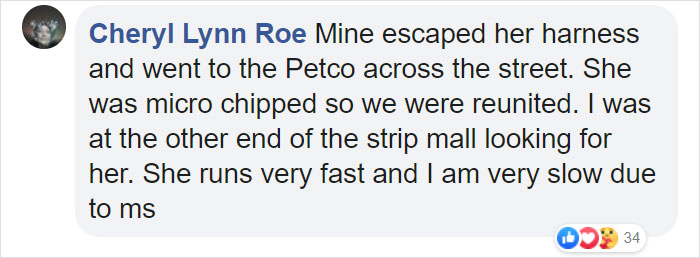 Lost Dog Goes To His Vet To Ask For Help Getting Back Home