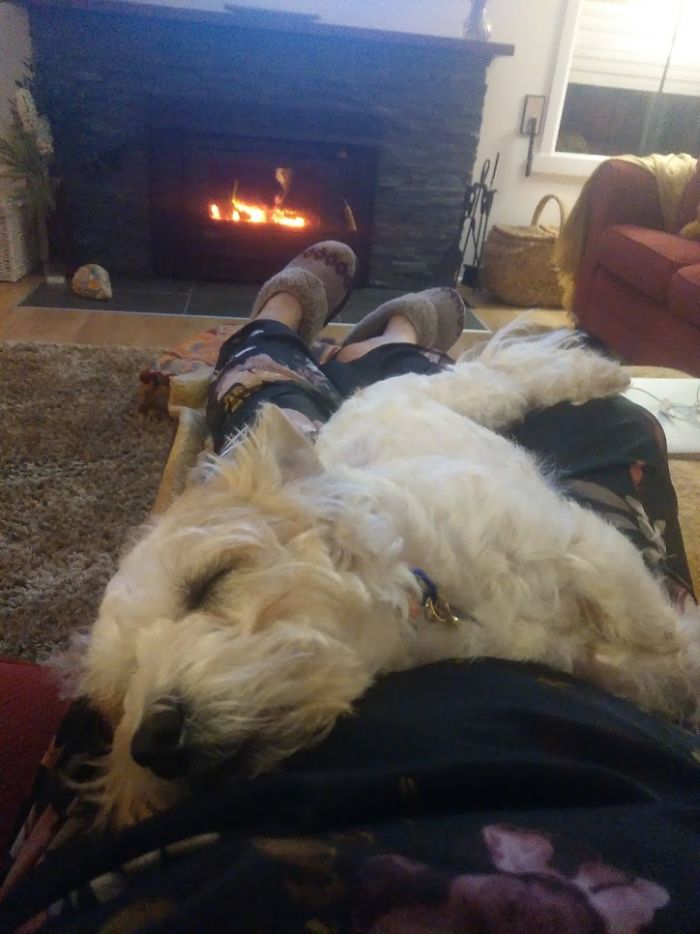 They Said He Might Take A While To Settle In