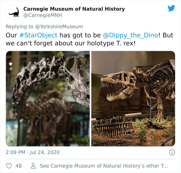 Museums-Compete-Star-Object