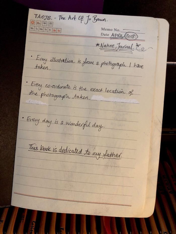 Woman Decides To 'Record' The Things She's Discovering, Starts A Journal To Illustrate The Natural World