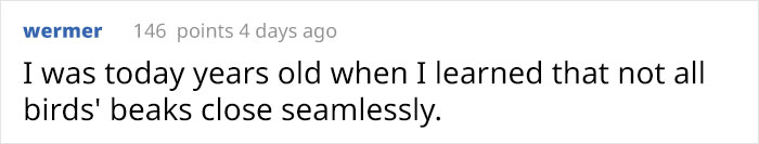 Woman Decides To 'Record' The Things She's Discovering, Starts A Journal To Illustrate The Natural World Woman Decides To 'Record' The Things She's Discovering, Starts A Journal To Illustrate The Natural World