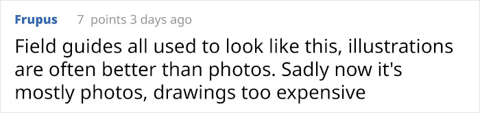 Woman Decides To 'Record' The Things She's Discovering, Starts A Journal To Illustrate The Natural World Woman Decides To 'Record' The Things She's Discovering, Starts A Journal To Illustrate The Natural World