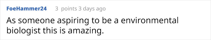 Woman Decides To 'Record' The Things She's Discovering, Starts A Journal To Illustrate The Natural World Woman Decides To 'Record' The Things She's Discovering, Starts A Journal To Illustrate The Natural World