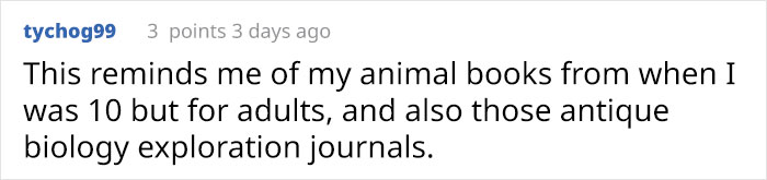 Woman Decides To 'Record' The Things She's Discovering, Starts A Journal To Illustrate The Natural World Woman Decides To 'Record' The Things She's Discovering, Starts A Journal To Illustrate The Natural World