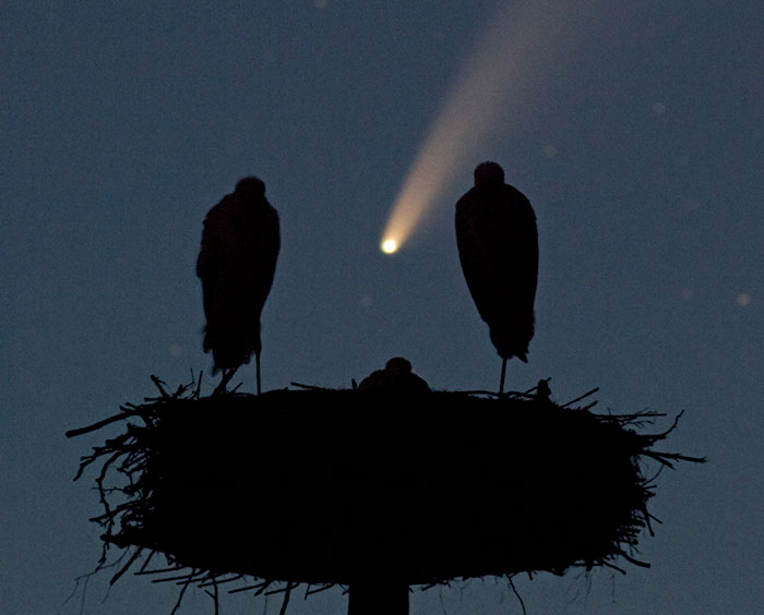 I’ve Used A Once-In-A-Lifetime Chance To Capture The Neowise Comet (13 Pics)