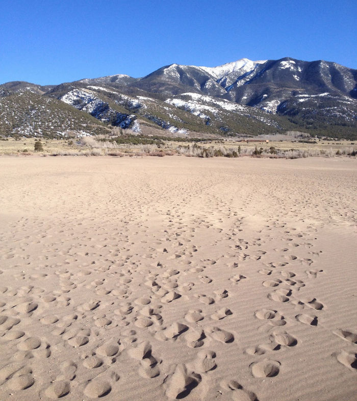 30 Non-Americans Explain What They Like Best About The United States And Their Answers Go Viral