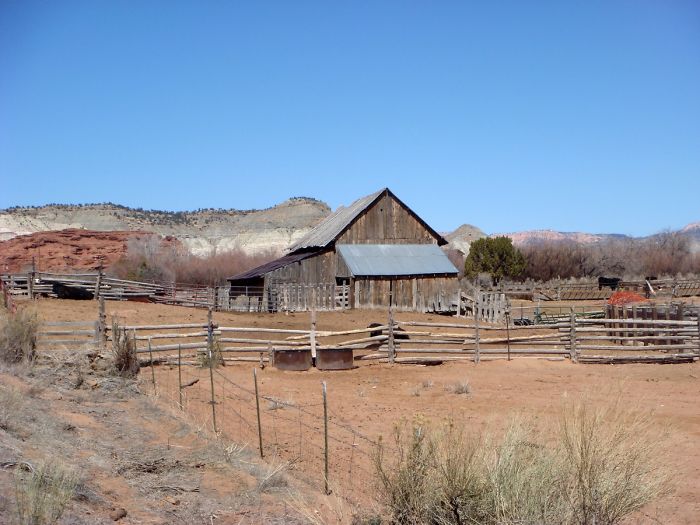 30 Non-Americans Explain What They Like Best About The United States And Their Answers Go Viral