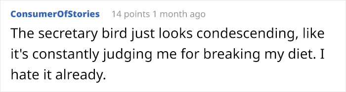 Person Compiles "A Non-Comprehensive List Of Birds That Piss Me Off", And It's A Hilariously Nonsensical Read