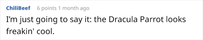 Person Compiles "A Non-Comprehensive List Of Birds That Piss Me Off", And It's A Hilariously Nonsensical Read