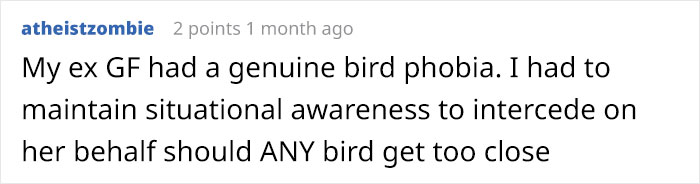 Person Compiles "A Non-Comprehensive List Of Birds That Piss Me Off", And It's A Hilariously Nonsensical Read