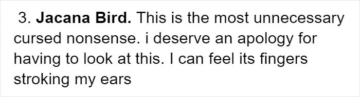 Person Compiles "A Non-Comprehensive List Of Birds That Piss Me Off", And It's A Hilariously Nonsensical Read