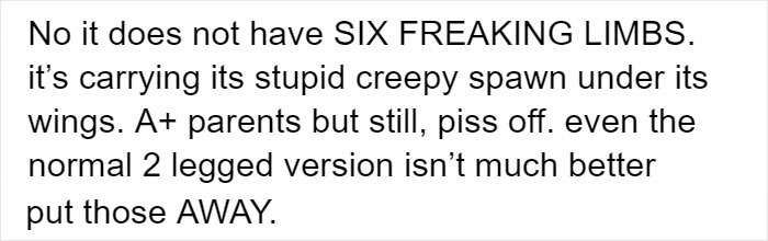 Person Compiles "A Non-Comprehensive List Of Birds That Piss Me Off", And It's A Hilariously Nonsensical Read