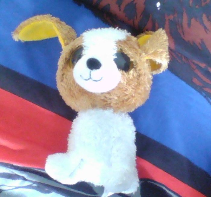 Here's My Favorite Stuffed Toy