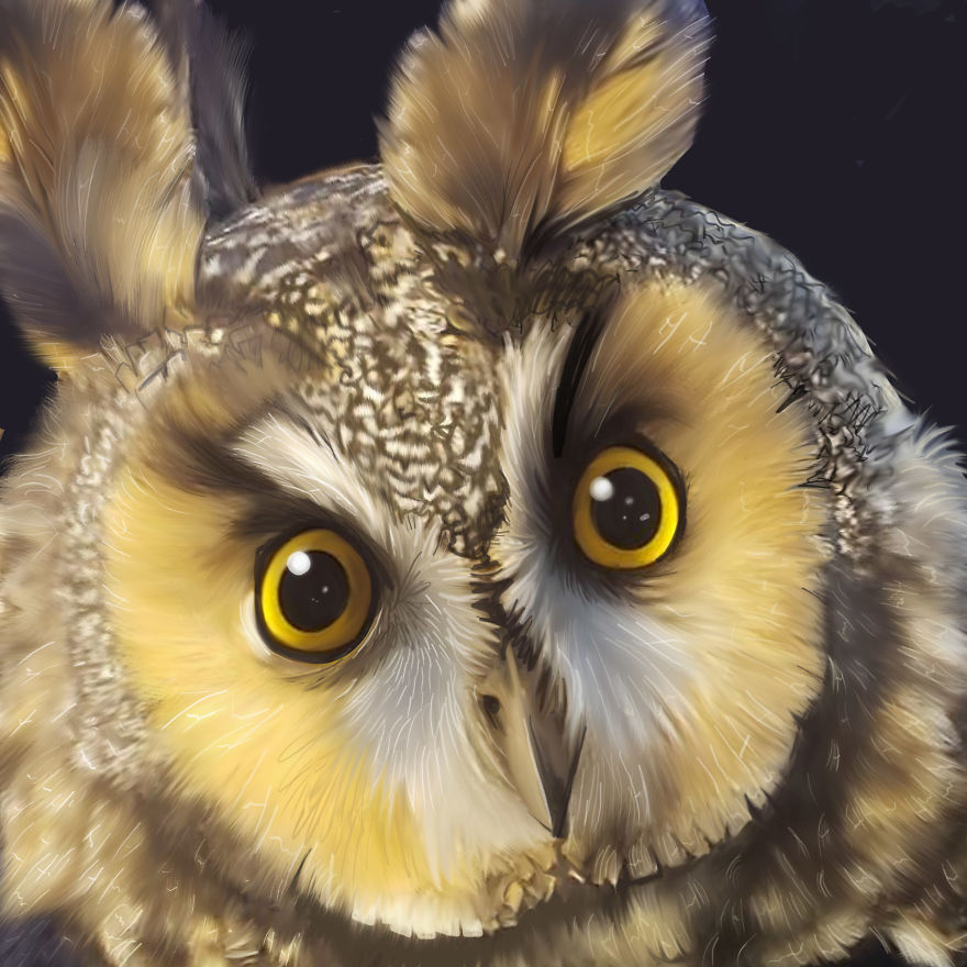 Owlivia Was Not Exactly A Pet, But She Was Loved. She Was Not Able To Be Rehabilitated Due To Damage To Her Wings. In Spite Fo This, She Lives On Forever In This Painting