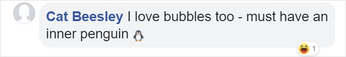 Someone Donates A Bubble Machine To The Penguins Of Newquay Zoo And They Love It Someone Donates A Bubble Machine To The Penguins Of Newquay Zoo And They Love It