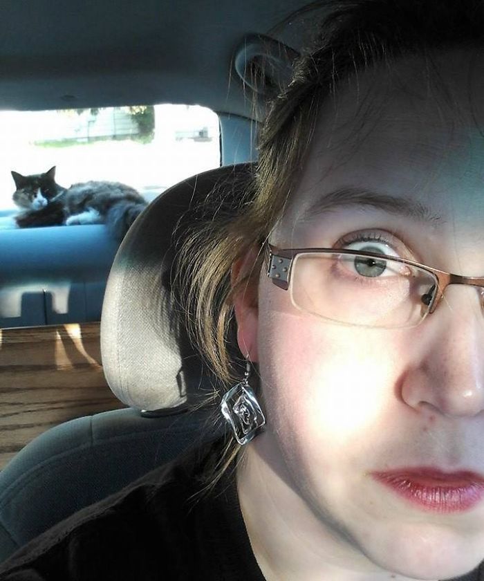 My Car, Not My Cat. I Knew Bugs Might Be A Risk When I Left The Window Cracked, But I Wasn't Prepared For Furrier Interlopers