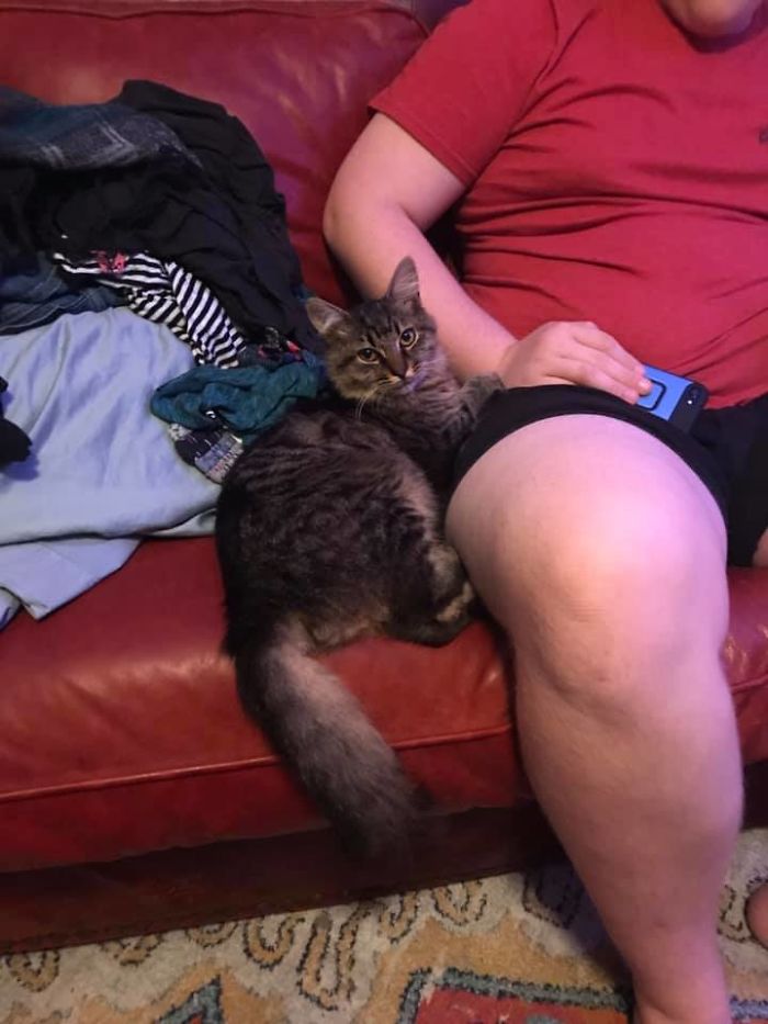 Came Home 3 Hours Ago. Started Dinner For My Kids, Fed My Cats, Put Food Outside For The 2 Feral Cats We’ve Been Feeding Recently. This Guy Was Waiting On My Back Porch