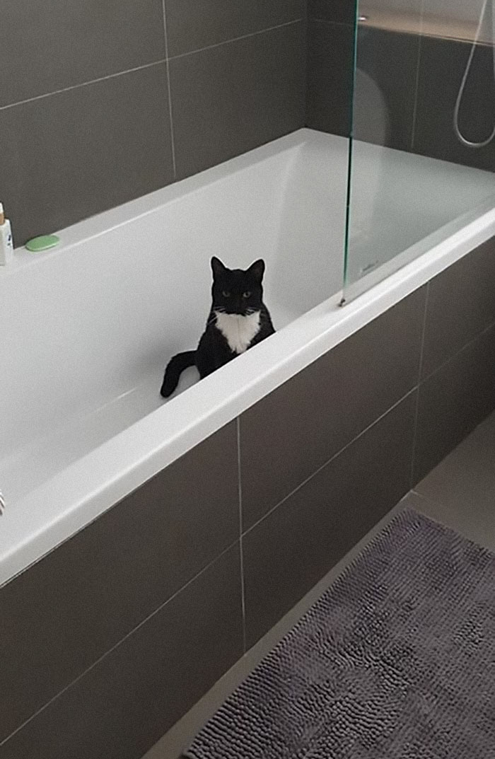 About 12 Months Ago This Little Fella Started Hanging Around My Van