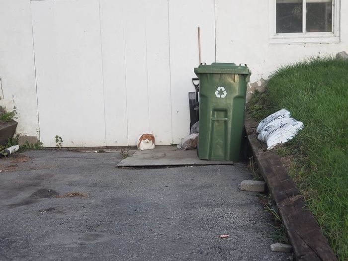 Someone Left Their Cube In My Driveway. Please Come Collect Your Cube