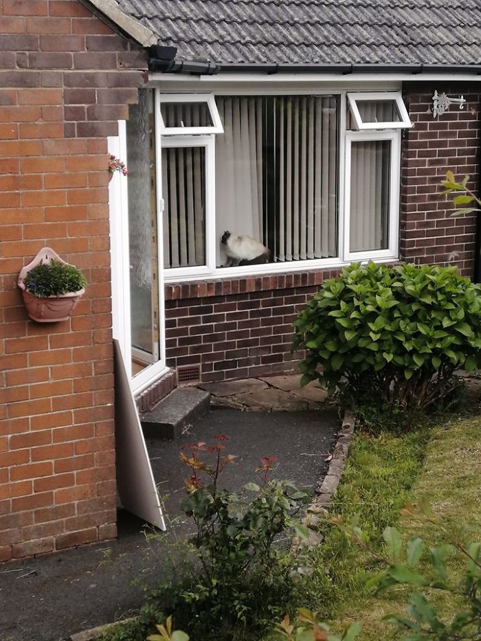 Just To Mix Things Up This Weekend, This Is Not My House, But That Is Very Definitely My Cat!! My Naughty Buddy Boo Has Snuck Into My Neighbours, And I Don't Think It's The First Time